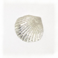 Silver fossil clam